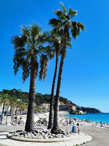 Studio au coeur du centre ville de Nice