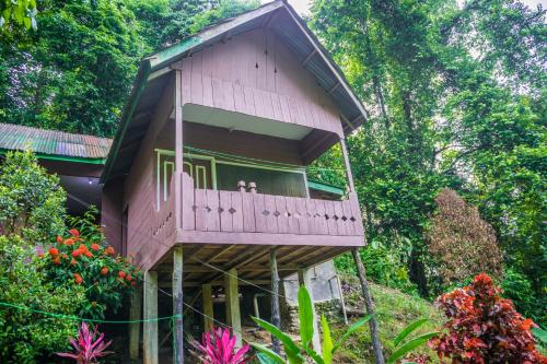 a tree house with a balcony in a garden at Pak Mus Guest House Ketambe - 0813-7072-1793 in Kutacane