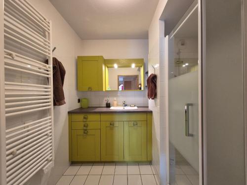 La salle de bains est pourvue d'armoires vertes et d'un lavabo. dans l'établissement Grand Coeur C13 - Appartement-chalet au cœur de Bourg-Saint-Maurice, à Bourg-Saint-Maurice