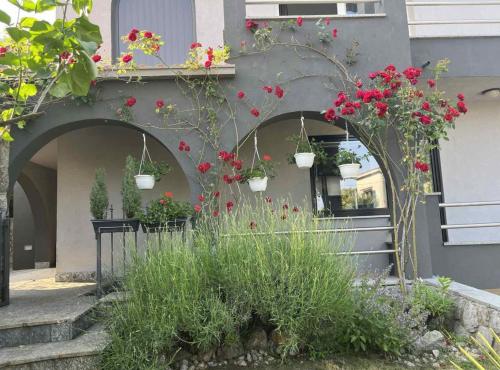 Tranquil Spacious Villa with Private Pool