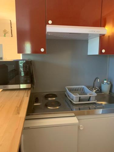 une cuisine avec une cuisinière et un micro-ondes dans l'établissement Aux IRIS, à Flayosc