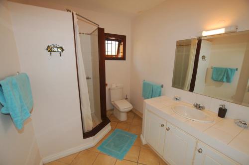 a bathroom with a sink and a toilet at Ernestville 2 beachfront Villa Pointe aux Canonniers in Pointe aux Cannoniers