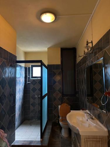 a bathroom with a sink and a toilet and a shower at Domaine du Cachet in Rivière Noire