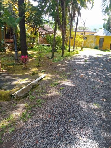 a dirt road with palm trees and a house at Domaine du Cachet in Rivière Noire