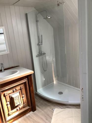 une salle de bain avec douche et lavabo dans l'établissement Longère terre mer, à Plélo