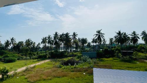 a view of a field with palm trees in the background at Auro studio home in Pūrnānkuppam