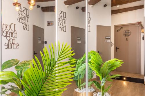 un miroir dans une salle de bains avec des plantes devant elle dans l'établissement Adira Marseille Panier 2 étoiles, à Marseille
