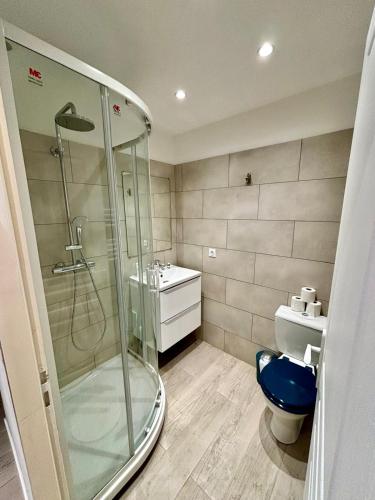 une salle de bain avec une douche, des toilettes et un lavabo dans l'établissement Numérobis, à Carcassonne