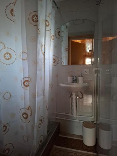 een badkamer met een wastafel en een douche bij Cottage Martina in Žabljak