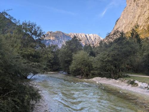 a river with trees and mountains in the background at Privatzimmer und Küche mit Balkon und Ausblick in Golling an der Salzach