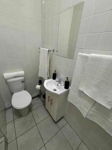 a bathroom with a toilet and a sink and a mirror at 30 on 6th in Bellville