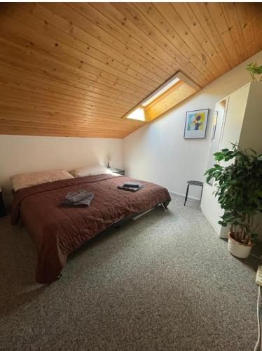 ein Schlafzimmer mit einem großen Bett und einer Holzdecke in der Unterkunft Ferienwohnung Doxa in Ernen