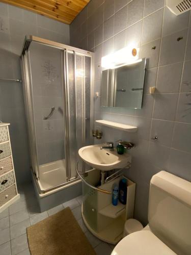 ein Badezimmer mit Toilette, Dusche und Waschbecken in der Unterkunft Ferienwohnung Doxa in Ernen