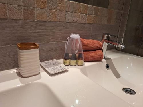 - un lavabo avec un rouleau de papier toilette et des serviettes dans l'établissement T4 rennais -Métro & Rocade, à Rennes