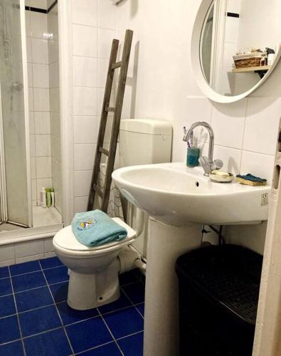 une salle de bain avec toilettes, lavabo et miroir dans l'établissement Paris 9e bel appartement de 40m2, à Paris