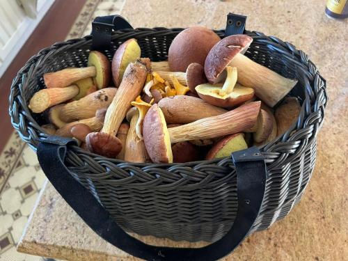 a basket full of different types at Brīvdienu māja Mulki in Ģipka
