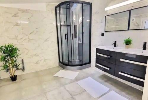 La salle de bains est pourvue d'une double vasque et d'une douche. dans l'établissement Plein centre 8pers 4ch 2sdb, Terrasse, billard - Angers-ROE, à Angers