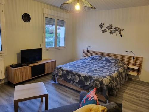 une chambre avec un lit, une télévision et un canapé dans l'établissement Résidence le centre, à Niederbronn-les-Bains