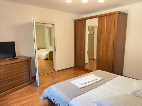 a bedroom with a bed and a tv and a mirror at Marginimea Sibiului - Pensiunea Darian & David in Orlat
