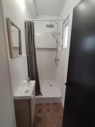 une salle de bain blanche avec une douche et un lavabo dans l'établissement Chambre 1 Ginco, à Thionville