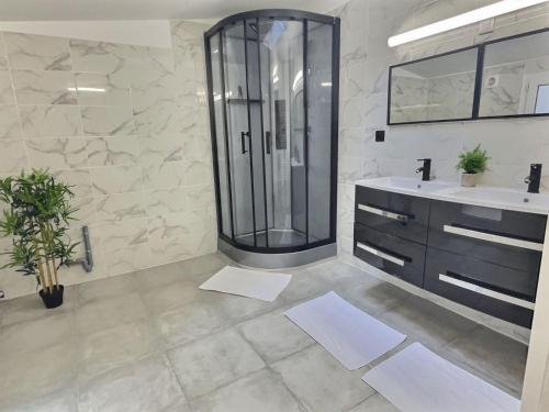 une salle de bain avec douche et lavabo dans l'établissement Plein centre 8pers 4ch 2sdb, Terrasse, billard Angers ROE, à Angers