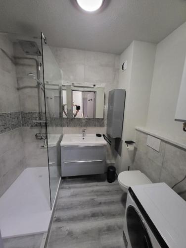 une salle de bain avec une douche, un lavabo et des toilettes dans l'établissement Résidence le centre, à Niederbronn-les-Bains