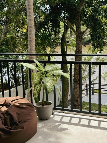 a plant in a pot sitting on a balcony at Sapiens home - Weligama bay in Weligama