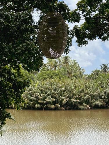 a view of a body of water with trees at Sapiens home - Weligama bay in Weligama