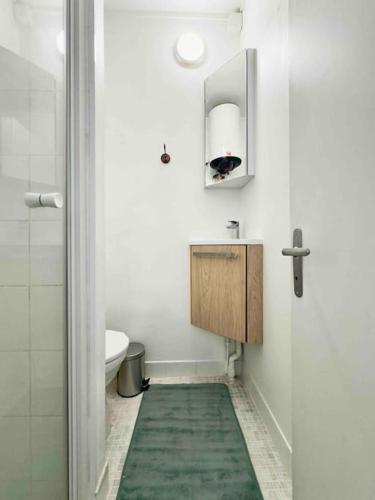 La salle de bains est pourvue d'un lavabo et de toilettes avec un tapis vert. dans l'établissement Studio Cosy 2P Face Arc De Triomphe, à Paris
