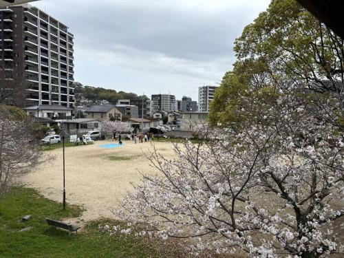 Gambar di galeri bagi 熊本駅乃桜 di Hanabatachō