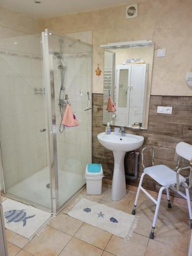 Ancy-le-LibreにあるLa Ptite Maison de Campagneのシャワーと洗面台付きのバスルーム