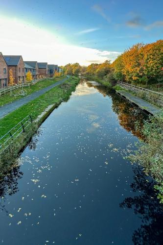 a river with trees on the side of it at Newbuild Riverview 3BDR House near Glasgow in Dalmuir
