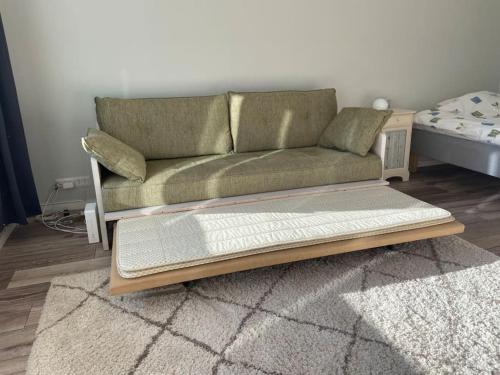 a couch sitting in a living room with a rug at Käytännöllinen yksiö rauhallisella alueella! in Hyvinkää