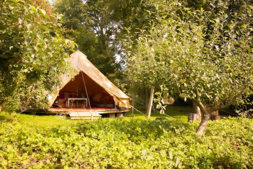 a tent in the middle of a field with trees at West Lexham Retreat in Kings Lynn