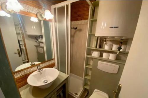 une salle de bain avec un lavabo, des toilettes et un miroir dans l'établissement chez olivier et valerie, aux Angles