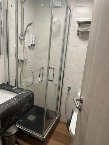a shower in a bathroom with a glass shower stall at hotel whiteswan in Ehnen