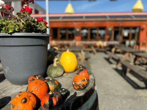 a bunch of pumpkins on a table with a plant at Hotel Formanka in Hustopeče