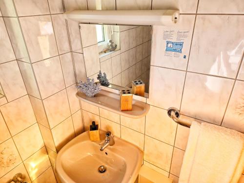 a small bathroom with a sink and a mirror at Ferienwohnungen Lindenhof in Falkenberg