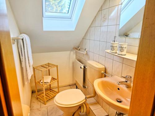 a small bathroom with a toilet and a sink at Ferienwohnungen Lindenhof in Falkenberg