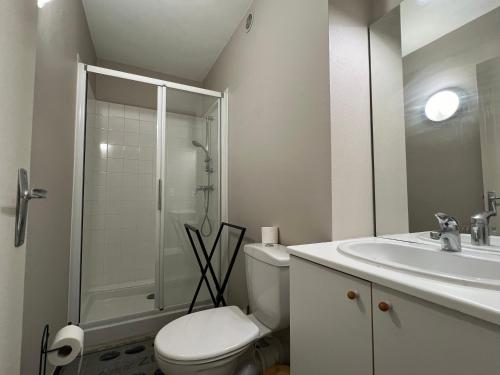 une salle de bain avec toilettes, lavabo et douche dans l'établissement L'essentiel, studio tout équipé, à Roanne