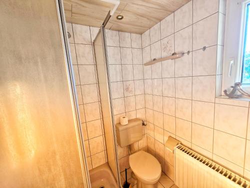 a small bathroom with a toilet and a shower at Ferienwohnungen Lindenhof in Falkenberg