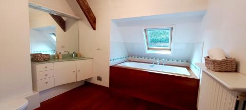 La salle de bains est pourvue d'une grande baignoire et d'un lavabo. dans l'établissement Le Pavillon du Jardin des Plantes, à Le Petit-Quevilly