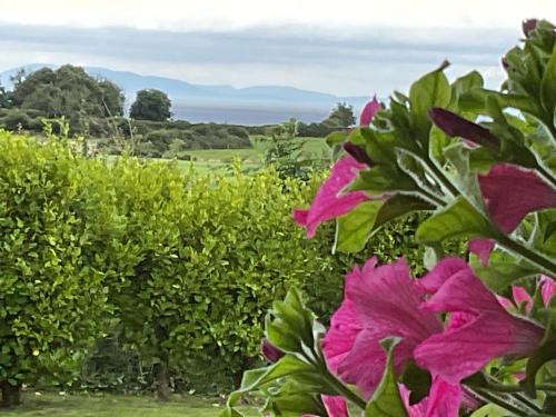 Naturlandschaft in der Nähe des Bed & Breakfasts