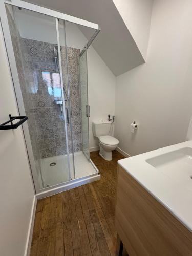 a bathroom with a shower and a toilet at Médiévale 27 in Semur-en-Auxois