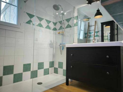 une salle de bain avec une douche, un lavabo et un miroir dans l'établissement Villa familiale calme aux portes du Luberon, à LʼIsle-sur-la-Sorgue