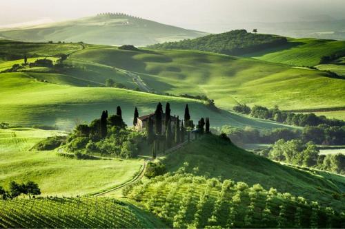 a castle on a hill in a green field at A'Loro B&B in Terranuova Bracciolini