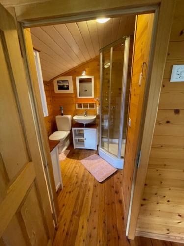 a small bathroom with a shower and a sink at Mazot JHR Unterbäch VS in Bachtolen