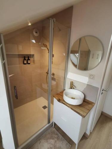 une salle de bain avec une douche, un lavabo et un miroir dans l'établissement Appartement de charme à Nancy, à Nancy