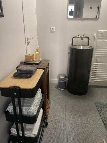 une salle de bain avec un lavabo et une étagère avec des serviettes dans l'établissement Loft Royal des Promenades, à Reims