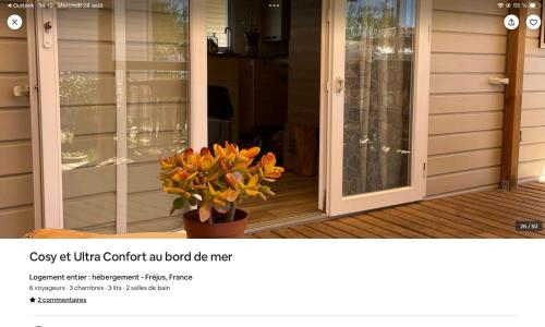 a plant in a pot next to a sliding glass door at cosy et ultra confort au bord in Fréjus